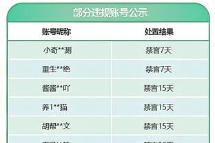 邮报评分切尔西伯利时代引援：帕尔默7分最高 恩佐、斯特林5分